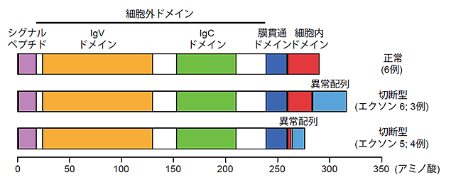 説明図・4枚目