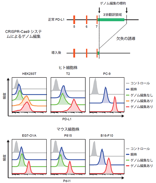 説明図・7枚目