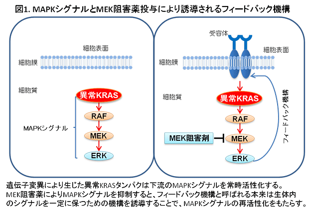 説明図・1枚目