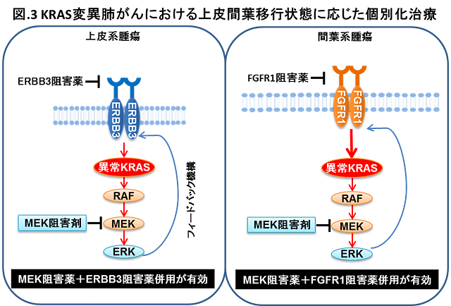 説明図・3枚目