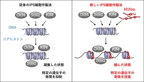 説明図・1枚目