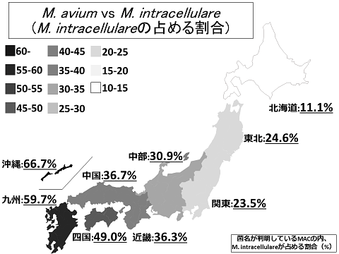 説明図・2枚目