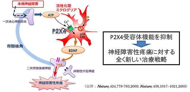 説明図