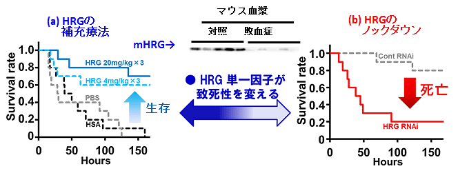 説明図・3枚目