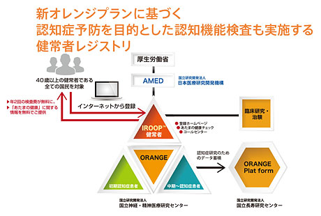 IROOP(TM)の概要