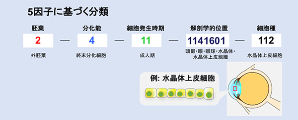 説明図