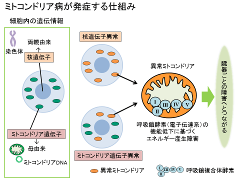 説明図・6枚目