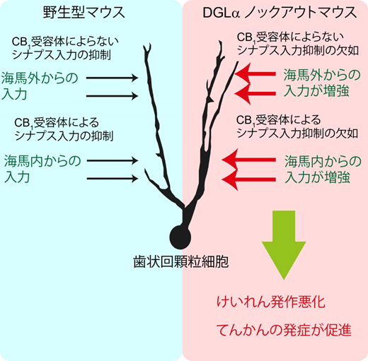 説明図