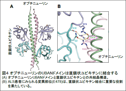 release_20160824_fig04