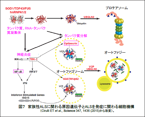 release_20160824_fig07