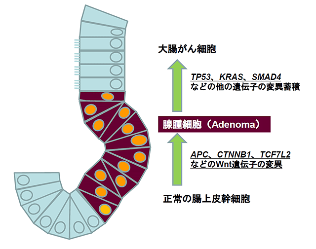 説明図・4枚目