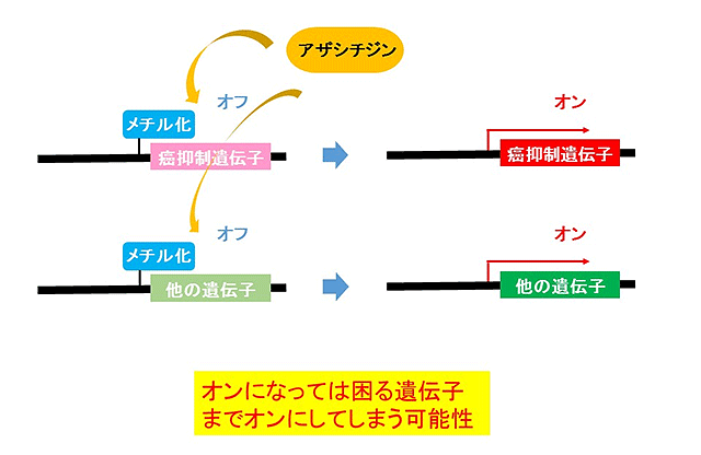 図1　遺伝子のスイッチをオンにする従来の薬の問題点