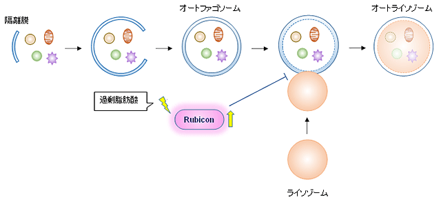 説明図・3枚目