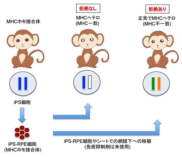 説明図・1枚目