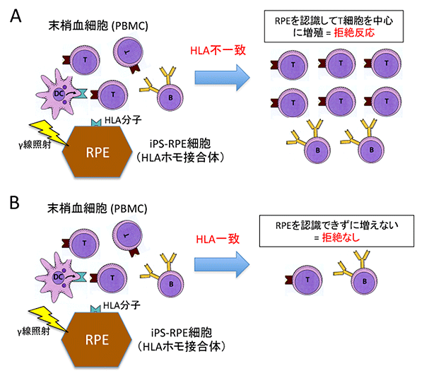 説明図・3枚目