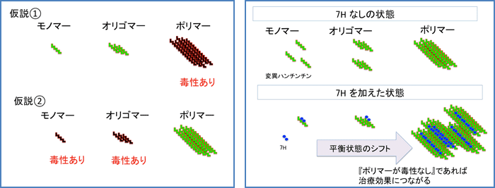 ハンチントン病の新しい治療薬シーズを発見 化合物ライブラリーの統合的スクリーニングから意外な結果 国立研究開発法人日本医療研究開発機構