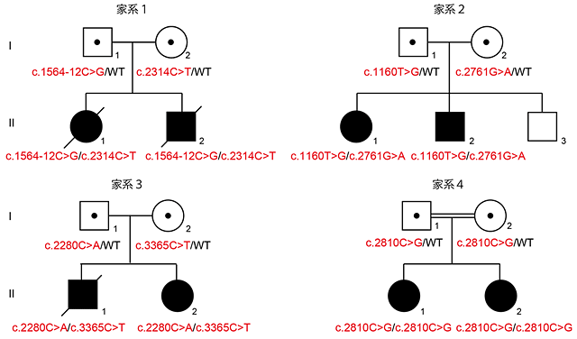 説明図・1枚目（説明は図の下に記載）