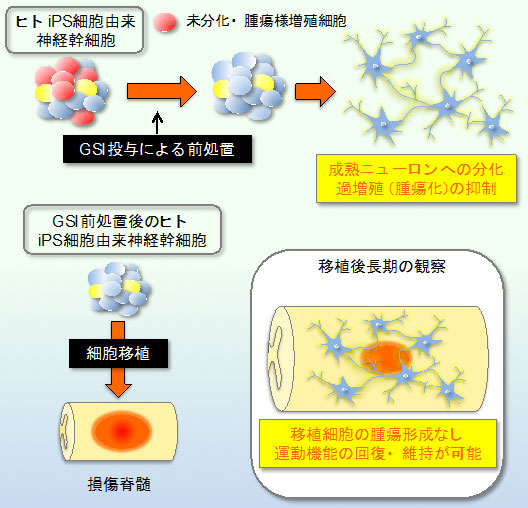 説明図（説明は図の下に記載）