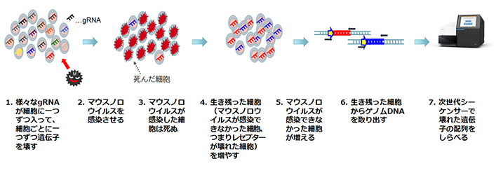 説明図・2枚目