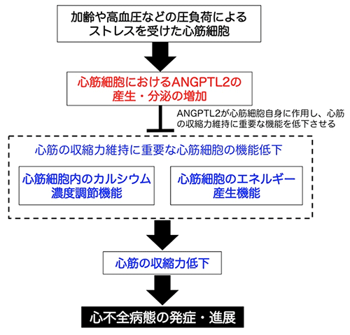 説明図・1枚目（説明は図の下に記載）