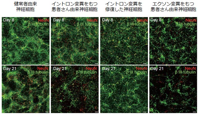 説明図・2枚目