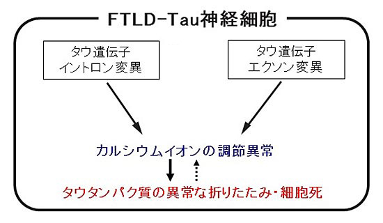 説明図・3枚目