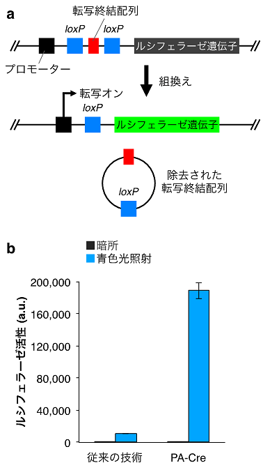 説明図・2枚目（説明は図の下に記載）