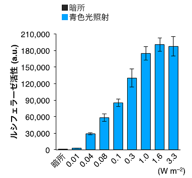 説明図・3枚目（説明は図の下に記載）