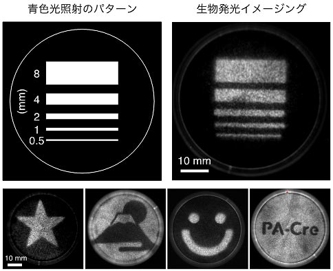 説明図・5枚目（説明は図の下に記載）