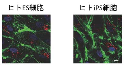 説明図・1枚目