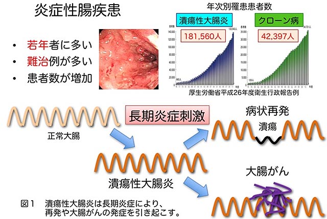 説明図・1枚目