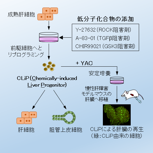 説明図・1枚目