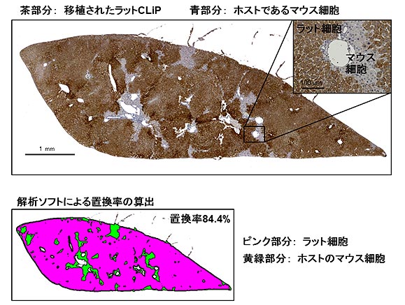 説明図・2枚目