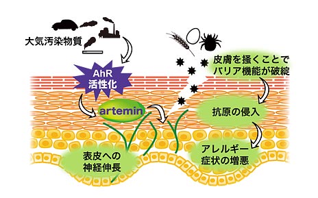 説明図・1枚目（説明は下に記載）