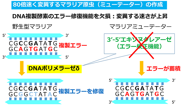 説明図・1枚目（説明は図の下に記載）