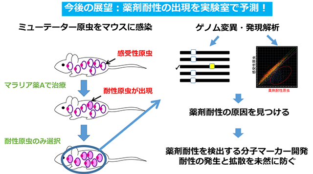 説明図・2枚目（説明は図の下に記載）