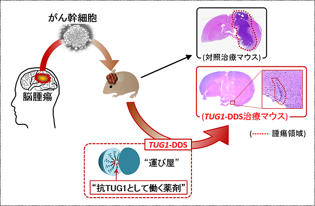 説明図