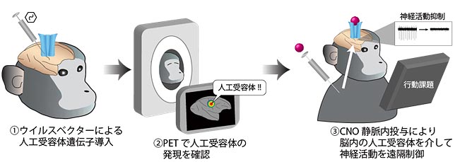 説明図・1枚目（説明は図の下に記載）