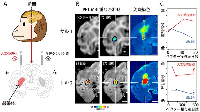 説明図・2枚目（説明は図の下に記載）