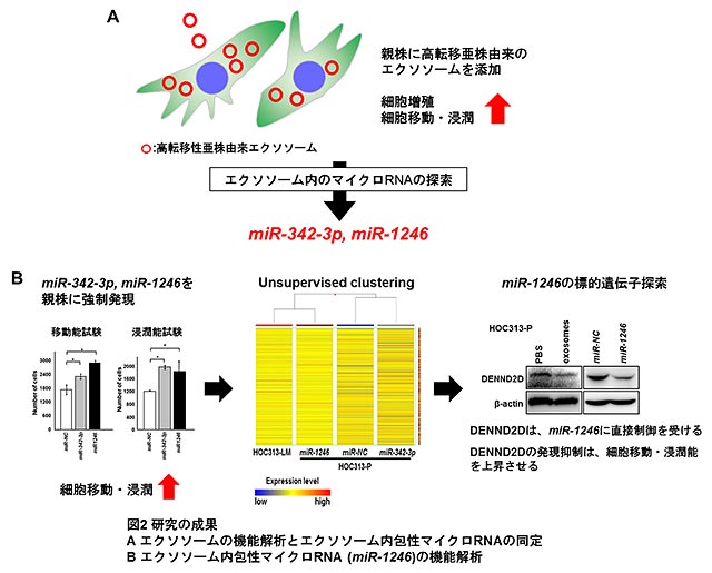 説明図・2枚目（説明は図の中に記載）