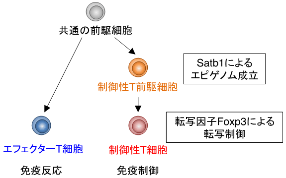 説明図