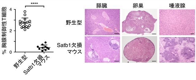 説明図・2枚目