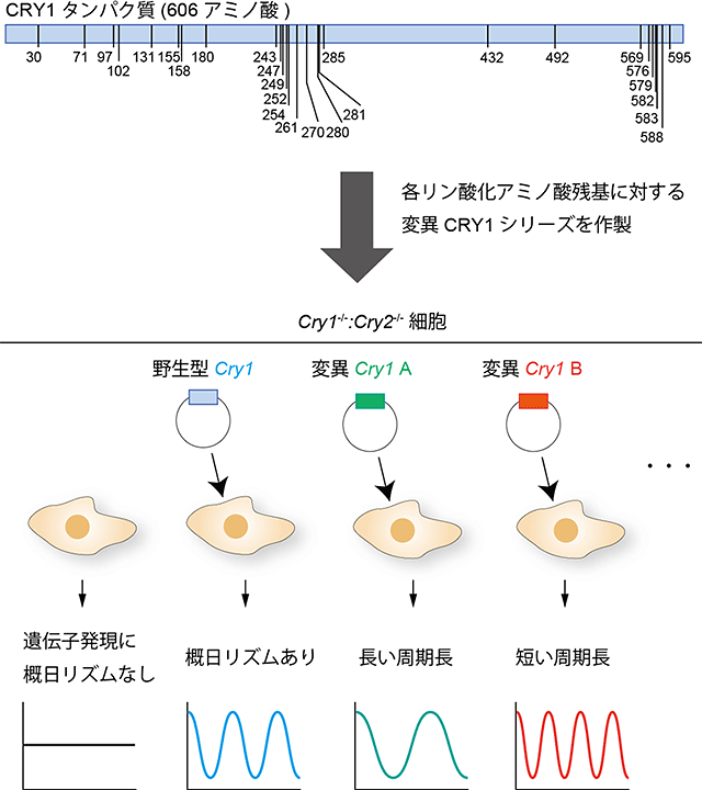 説明図・2枚目（説明は図の下に記載）