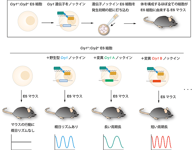 説明図・3枚目（説明は図の下に記載）