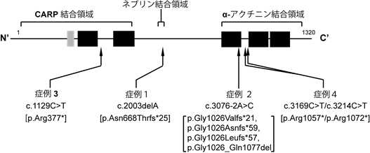 説明図・1枚目（説明は図の下に記載）