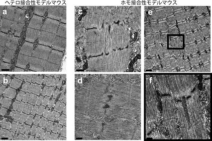 説明図・4枚目(説明は図の下に記載)