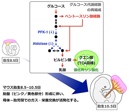 説明図・2枚目（説明は図の下に記載）