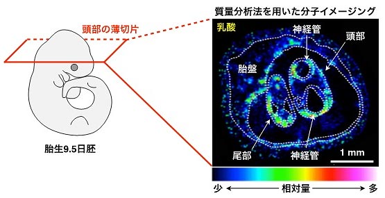 説明図・3枚目