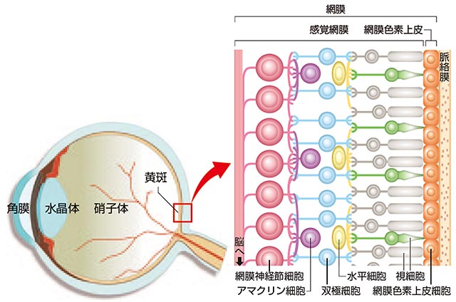 説明図・1枚目（説明は図の下に記載）