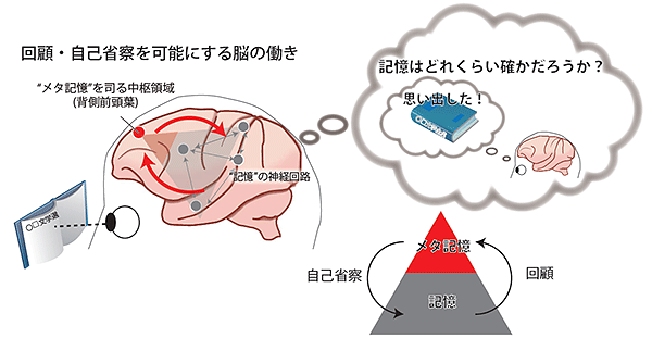 説明図・1枚目（説明は図の下に記載）